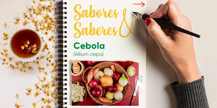 Sabores e saberes - Cebola 1